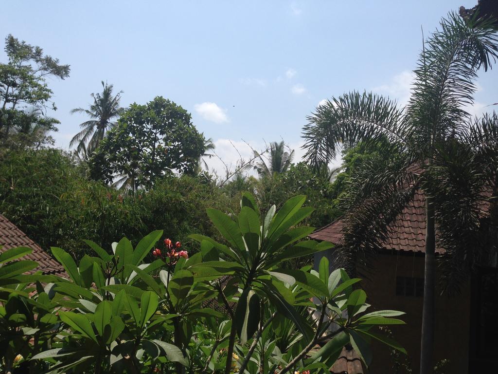 Ubud Rooms B&B Quarto foto