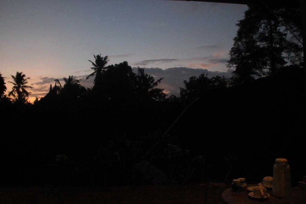 Ubud Rooms B&B Exterior foto